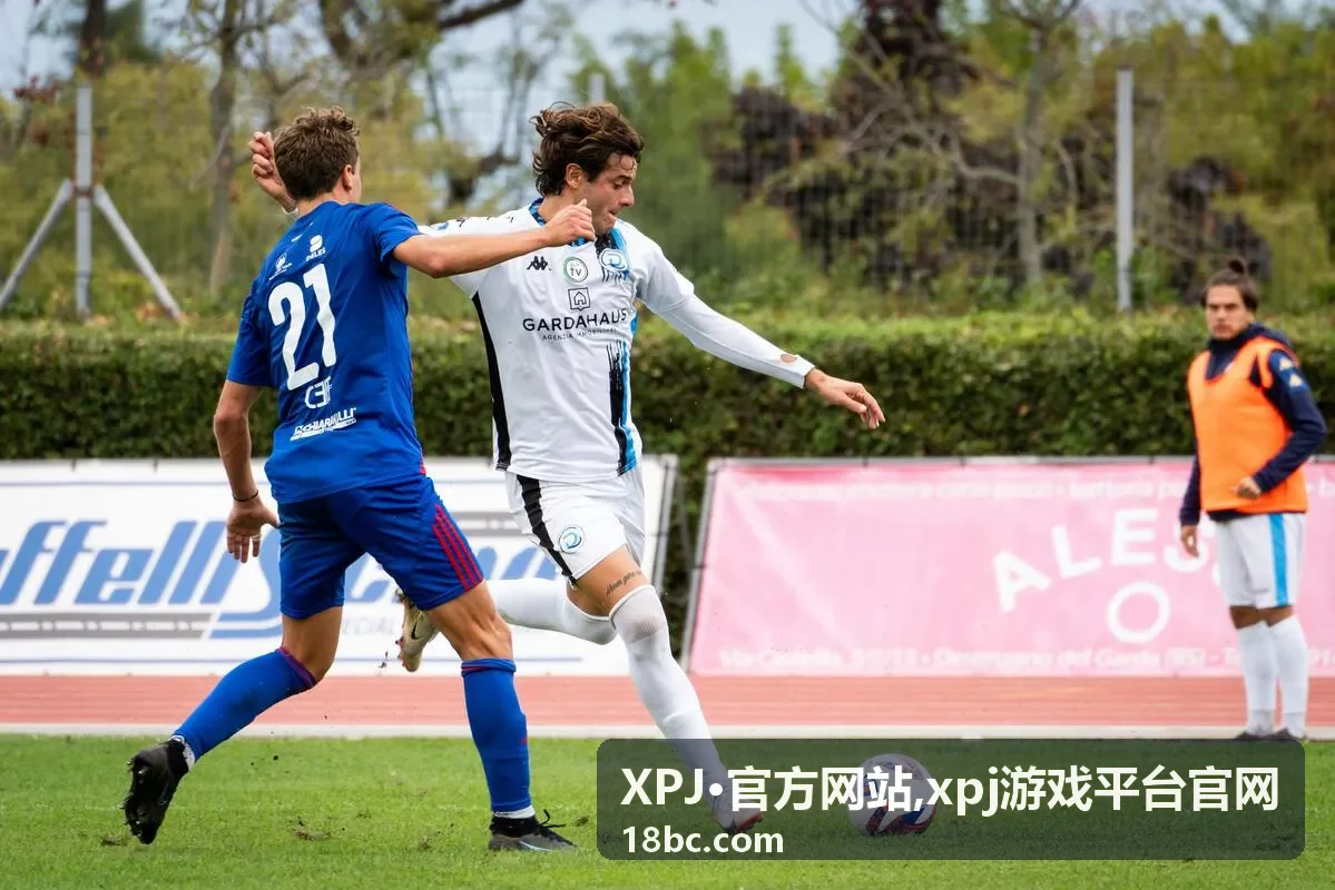 XPJ·官方网站入口与规则指南封面