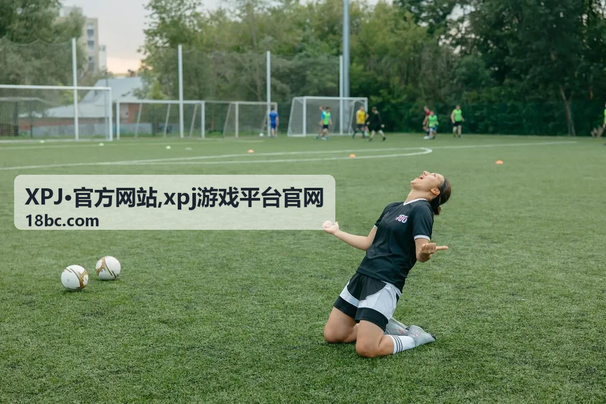 xpj游戏平台官网服务支持封面